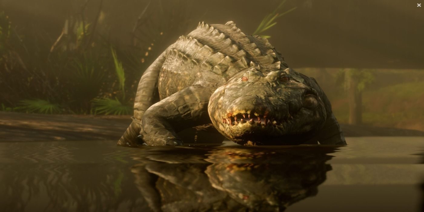 red-dead-redemption-2-alligator-8245538